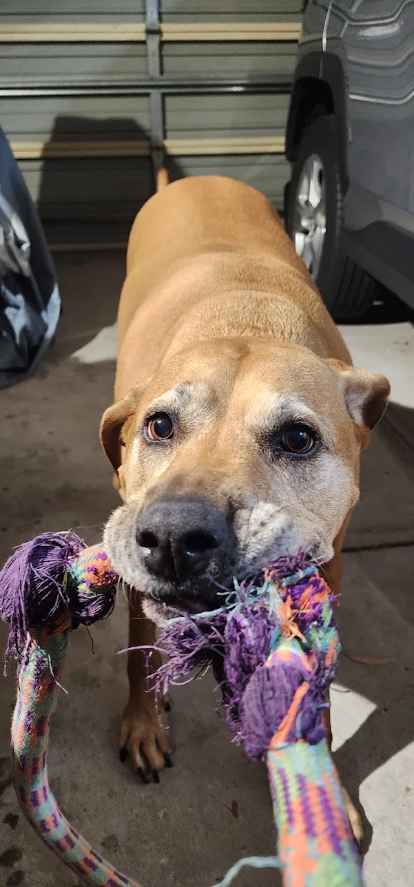 Review image 4 from Azza Fellows